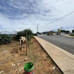 Oportunidade para Construtores: Dois Lotes no Caravelas Ideais para Prédios ou Casas Geminadas