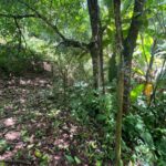 Sítio à VENDA em Petrópolis – Timóteo/MG