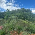 Lote na Serra do Cocais – Coronel Fabriciano/MG