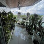 Apartamento Horto 143m²
