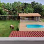 Lindo Sítio pertinho de Ipatinga